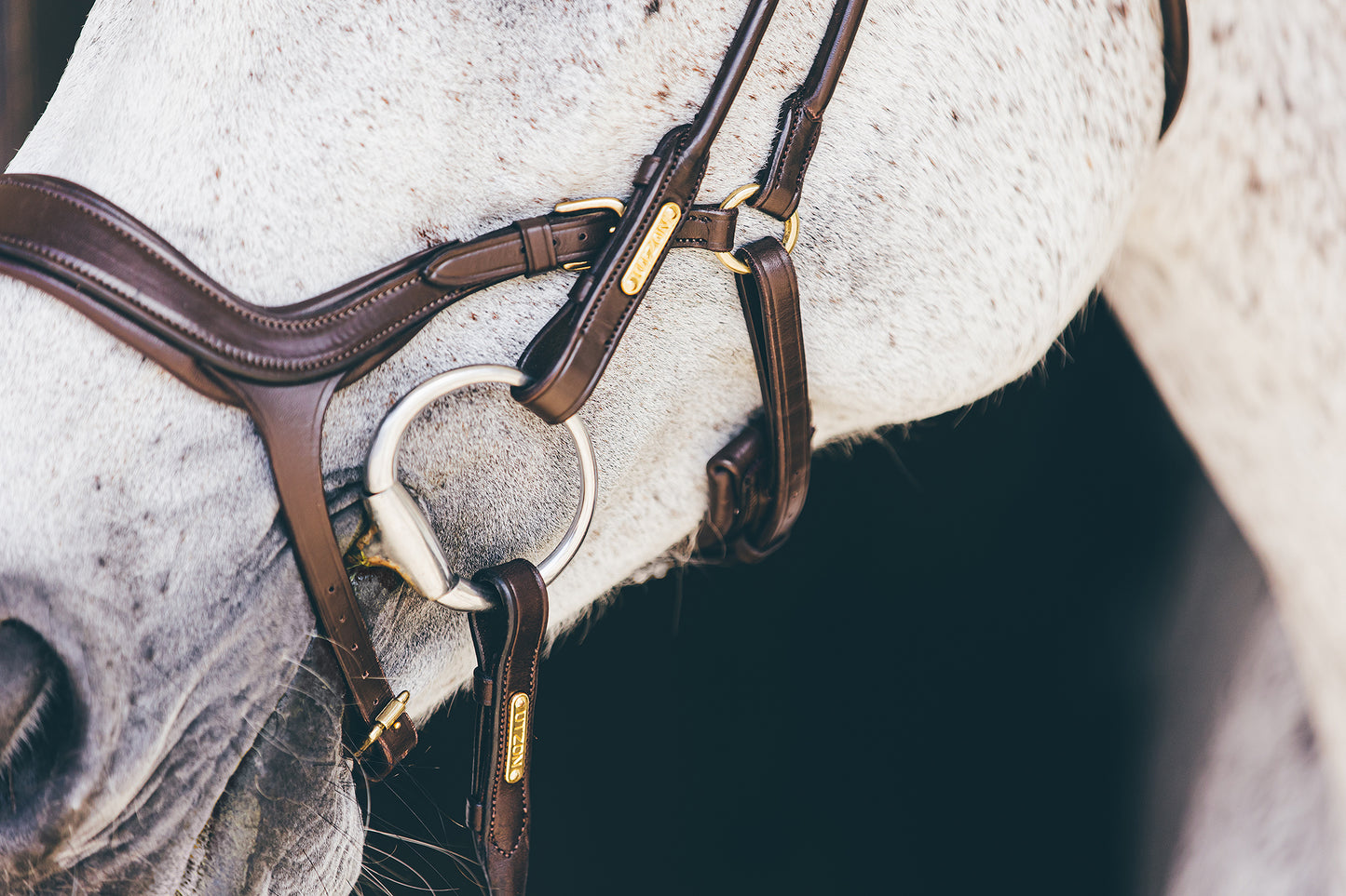 Trense - "Bristol" von Utzon Equestrian