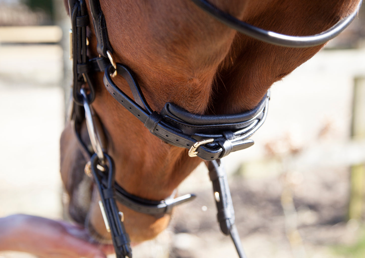 Trense - "Bristol" von Utzon Equestrian