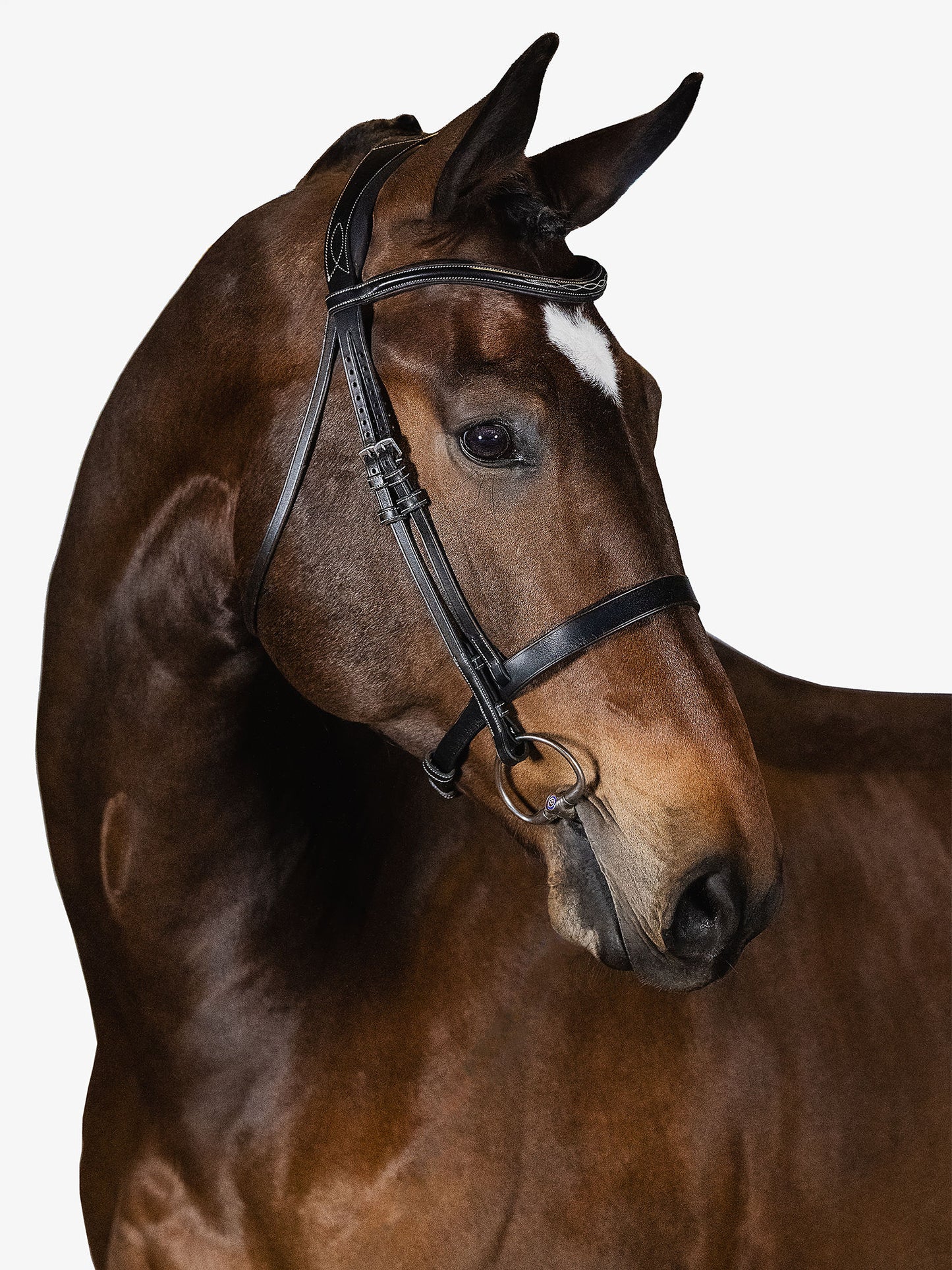 Trensenzaum "Wellington Hunter"