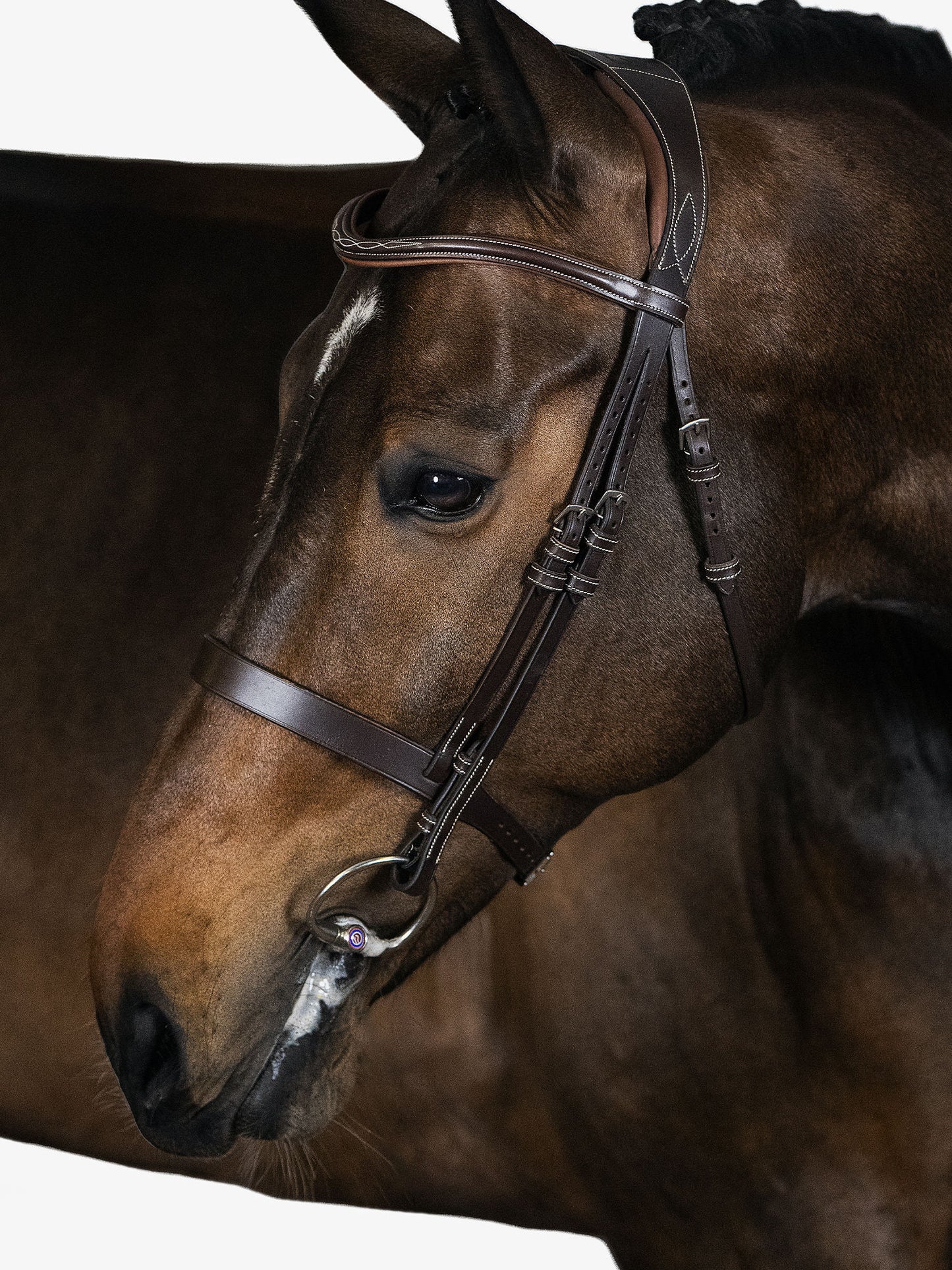 Trensenzaum "Wellington Hunter"