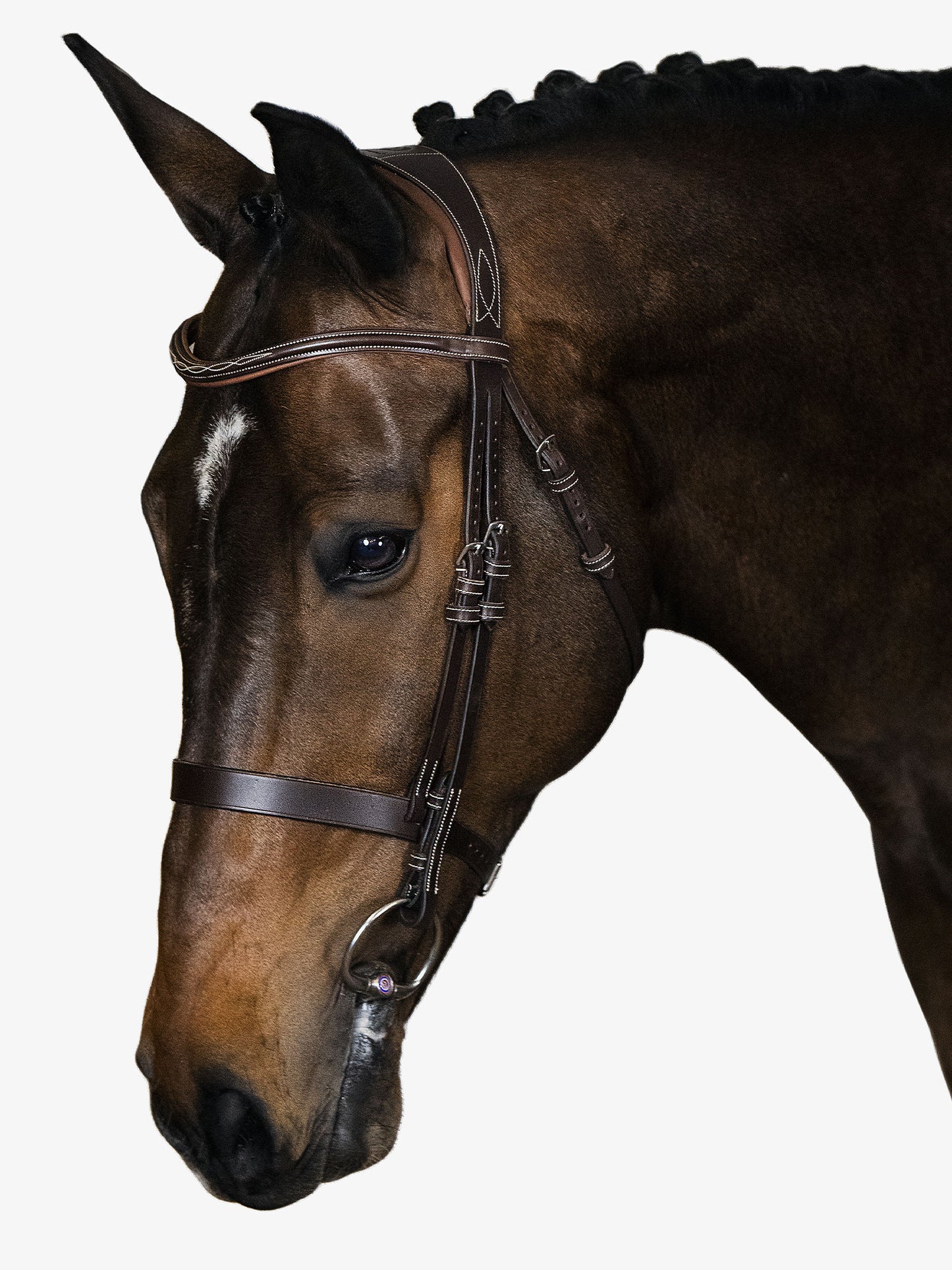 Trensenzaum "Wellington Hunter"