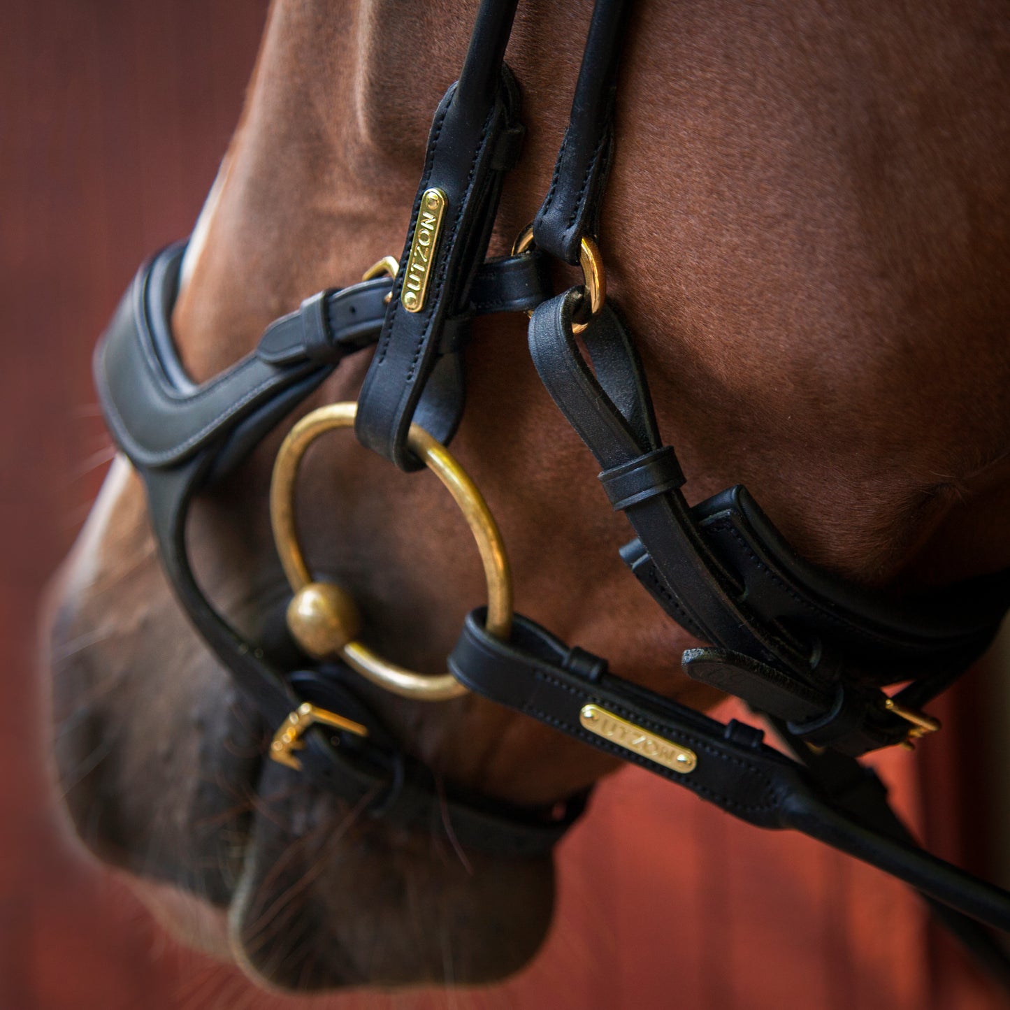 Trense - "Bristol" von Utzon Equestrian