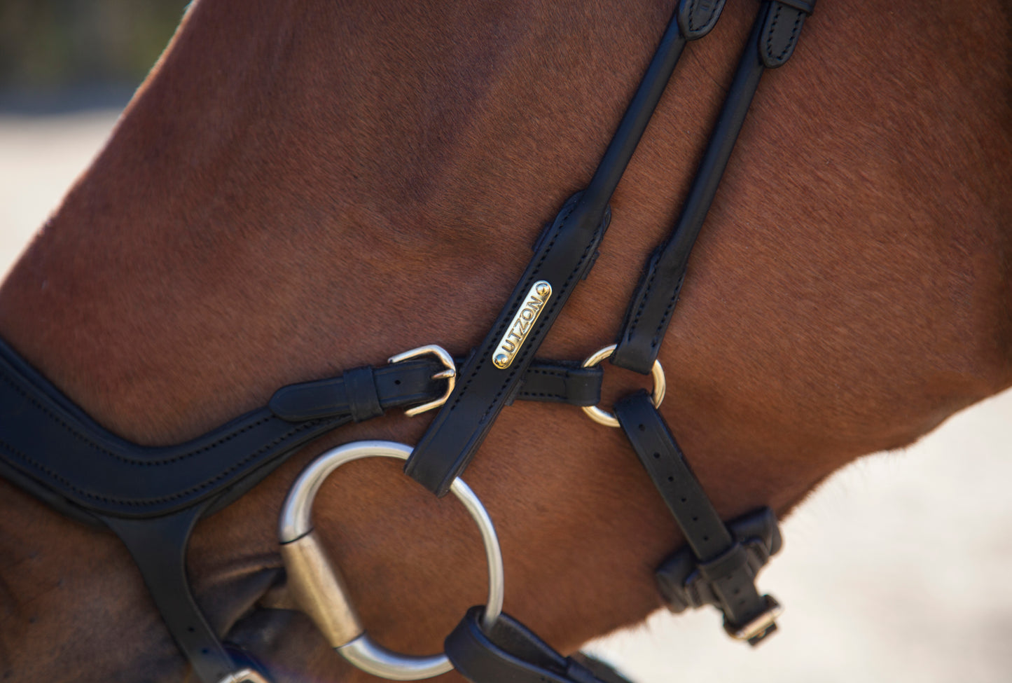 Trense - "Bristol" von Utzon Equestrian