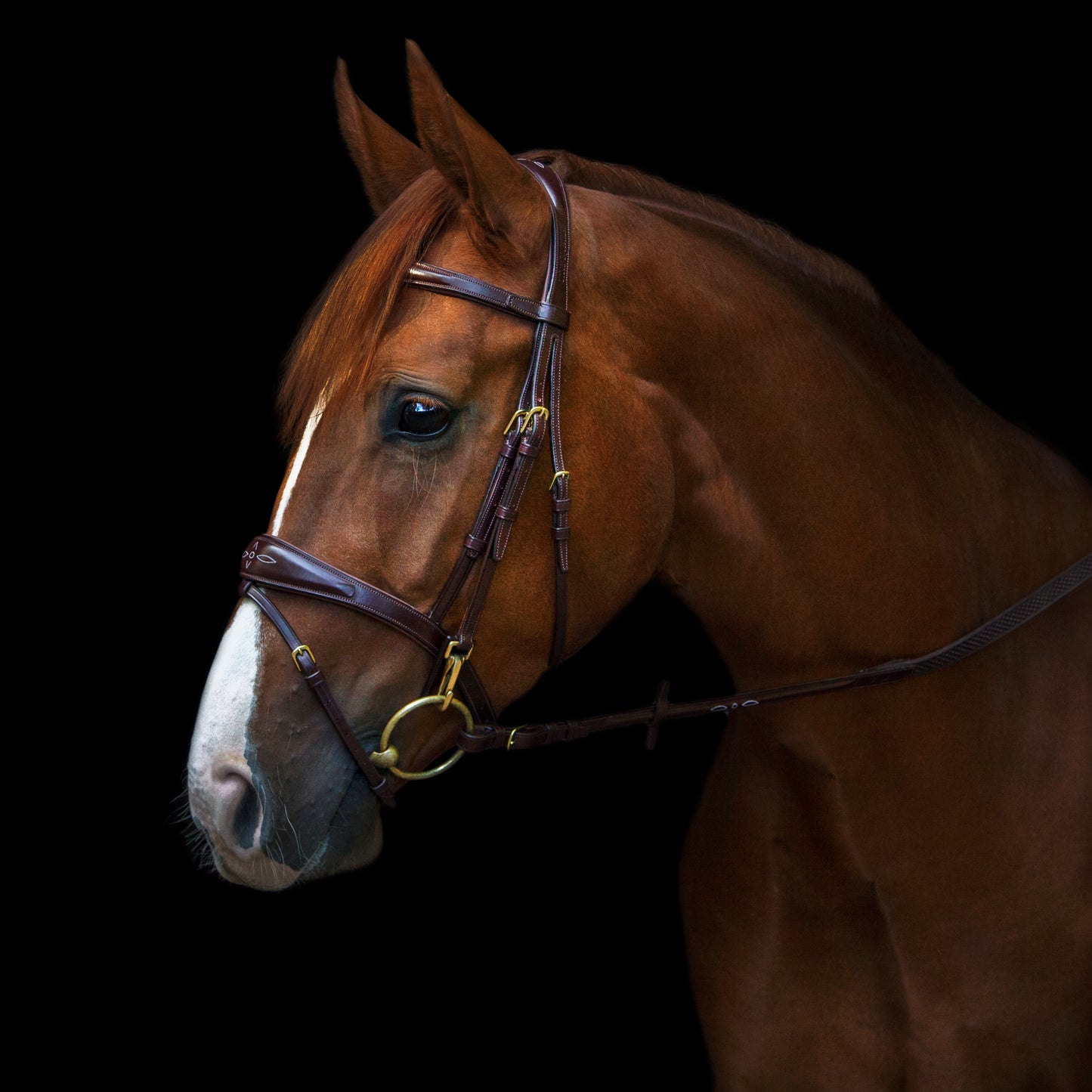 Trense - "Belmond" von Utzon Equestrian