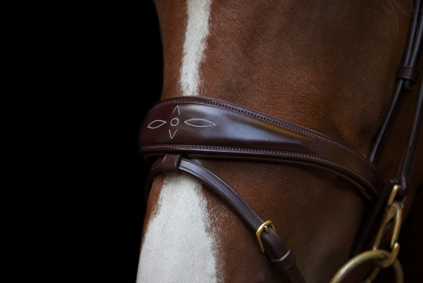 Trense - "Belmond" von Utzon Equestrian