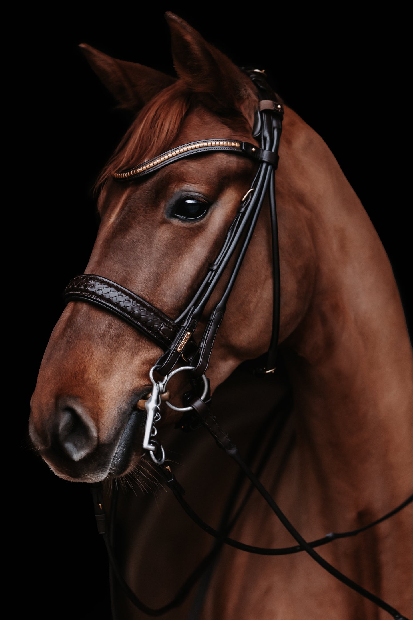 Kandarenzaum - "Olympic double" von Utzon Equestrian