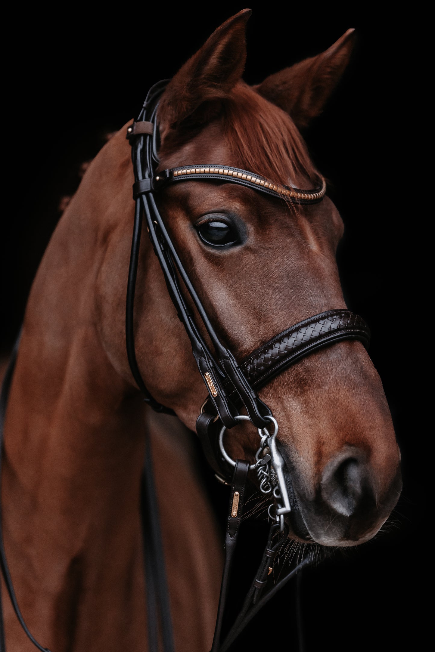 Kandarenzaum - "Olympic double" von Utzon Equestrian