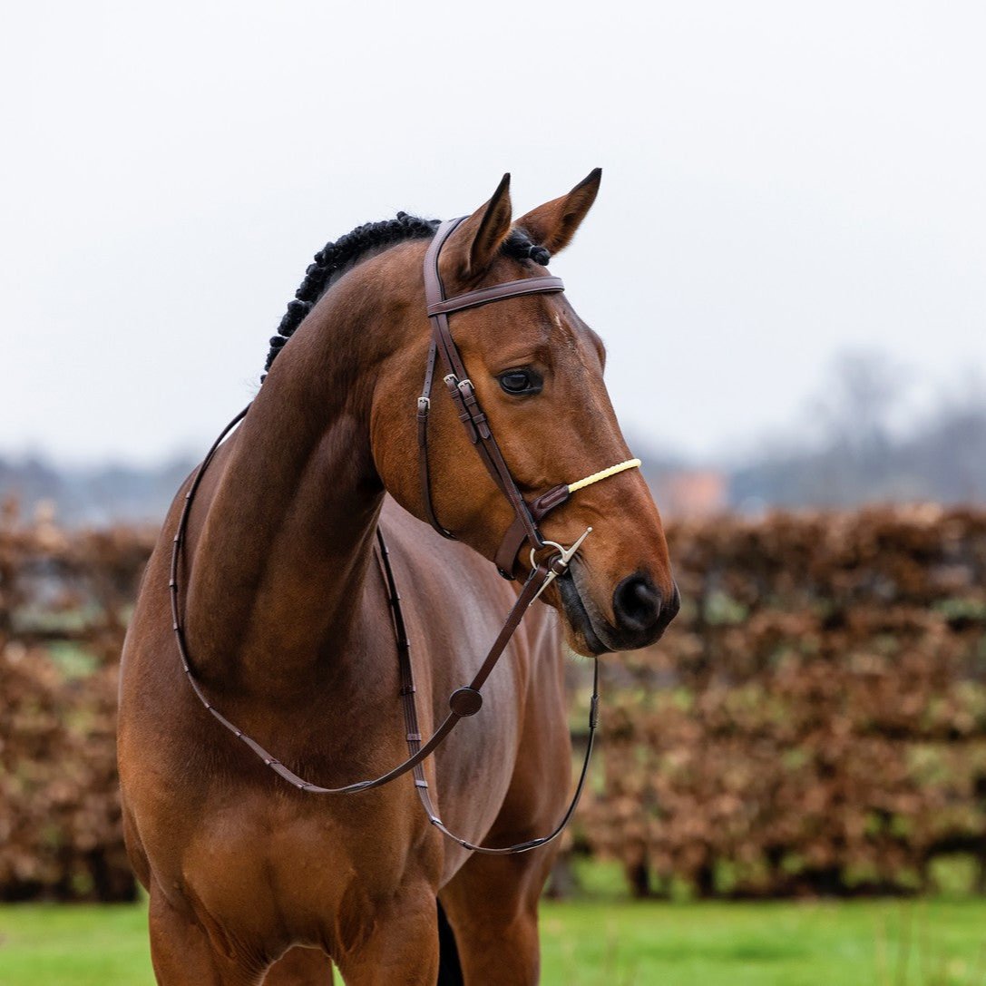 Trense "St. Gallen"