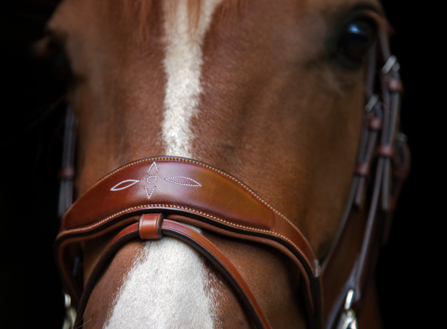 Trense - "Oxford" von Utzon Equestrian