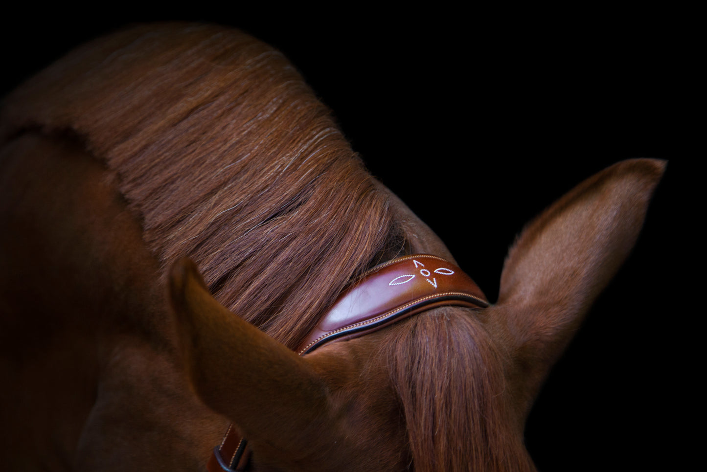 Trense - "Oxford" von Utzon Equestrian