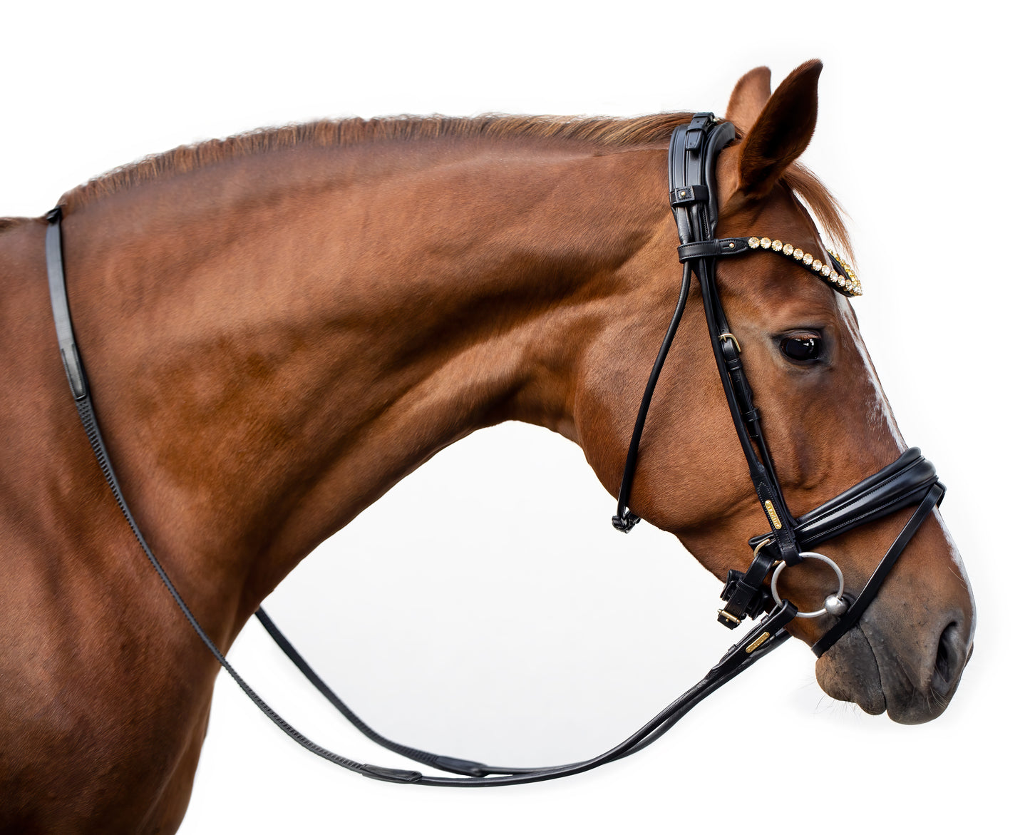Trense - "Edinburg" von Utzon Equestrian