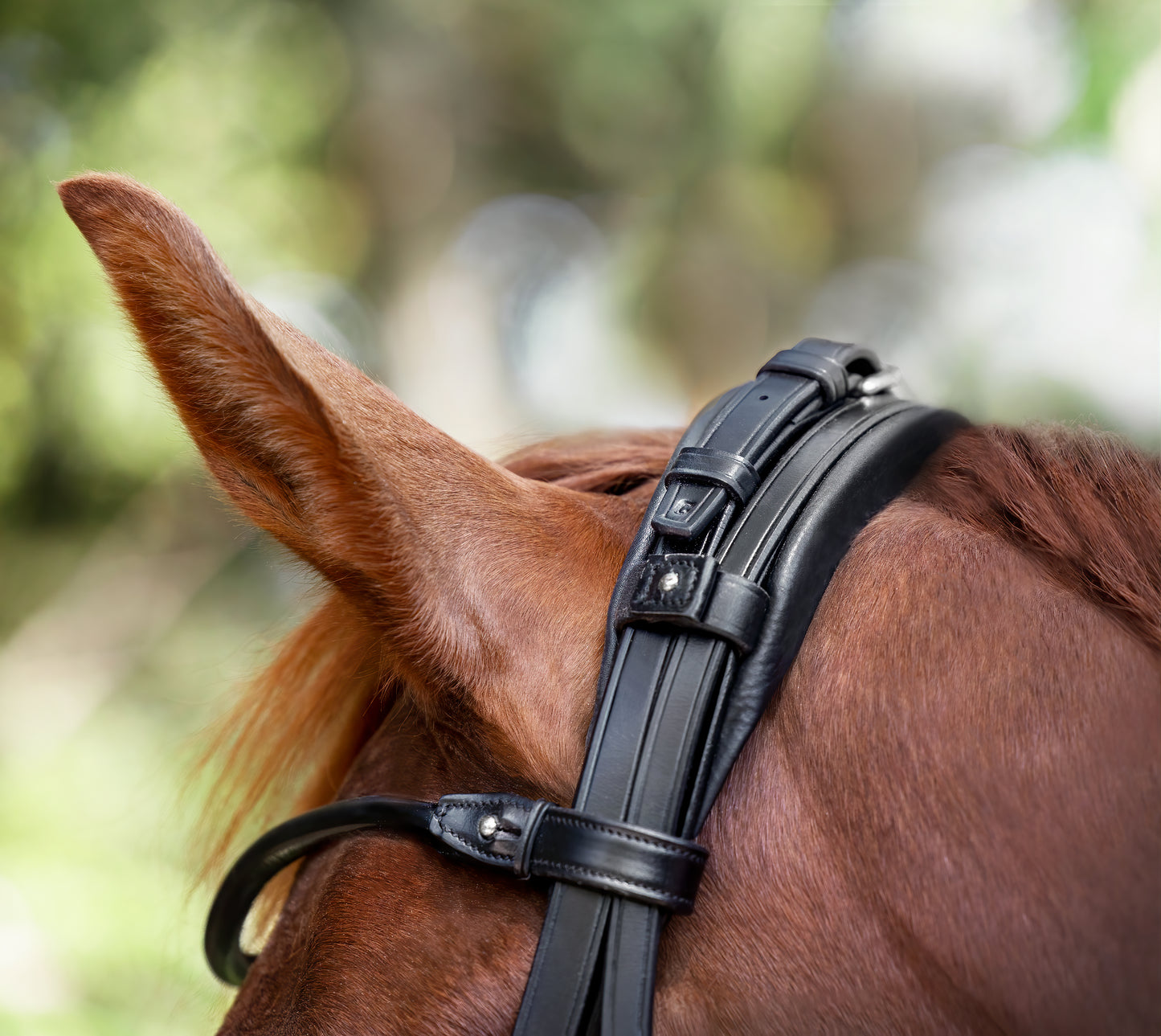 Trense - "London" von Utzon Equestrian
