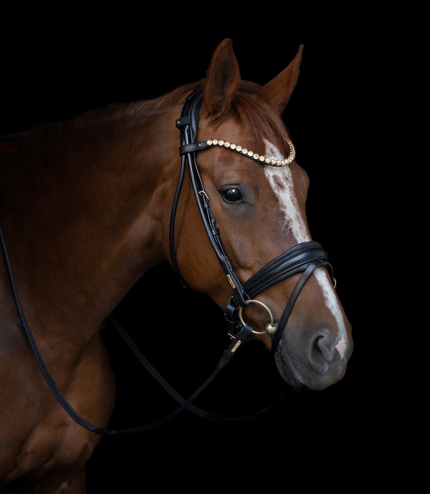 Trense - "Edinburg" von Utzon Equestrian