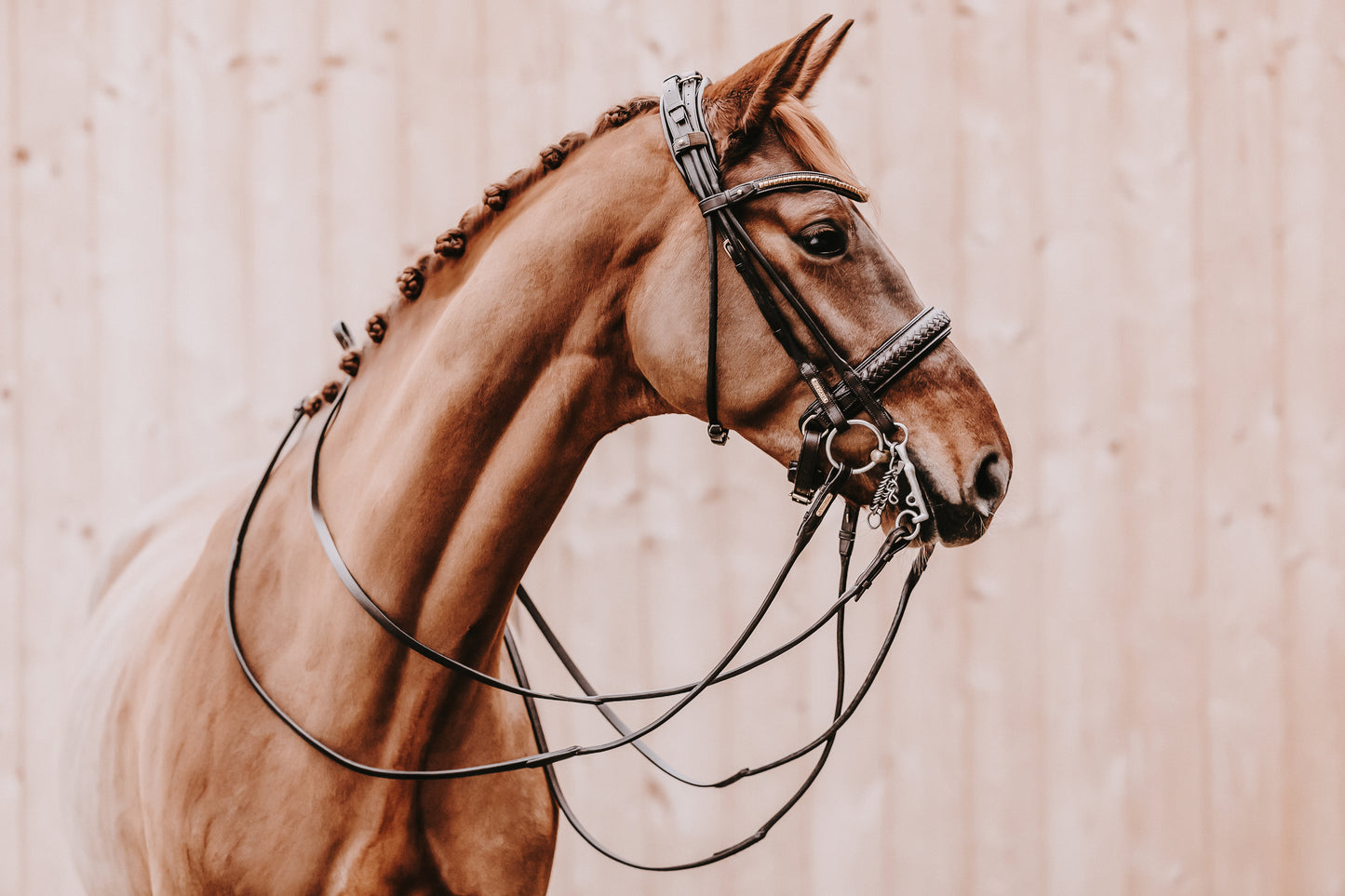 Kandarenzaum - "Olympic double" von Utzon Equestrian
